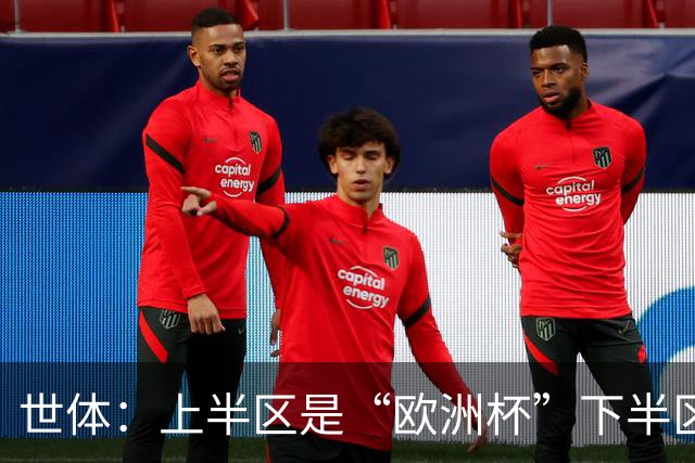 世体：上半区是“欧洲杯”下半区是“美洲杯”，英阿大战太迷人