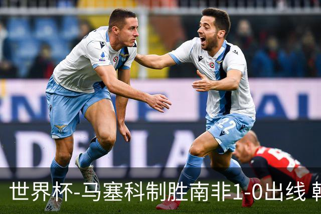 世界杯-马塞科制胜南非1-0出线 韩国积3分获小组第三待定