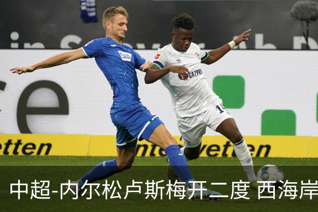 中超-内尔松卢斯梅开二度 西海岸3-1浙江12轮不败