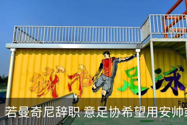 若曼奇尼辞职 意足协希望用安帅或卡纳瓦罗替代