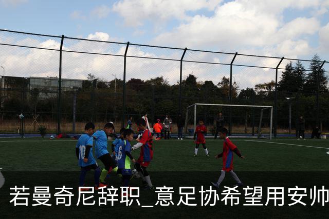若曼奇尼辞职 意足协希望用安帅或卡纳瓦罗替代